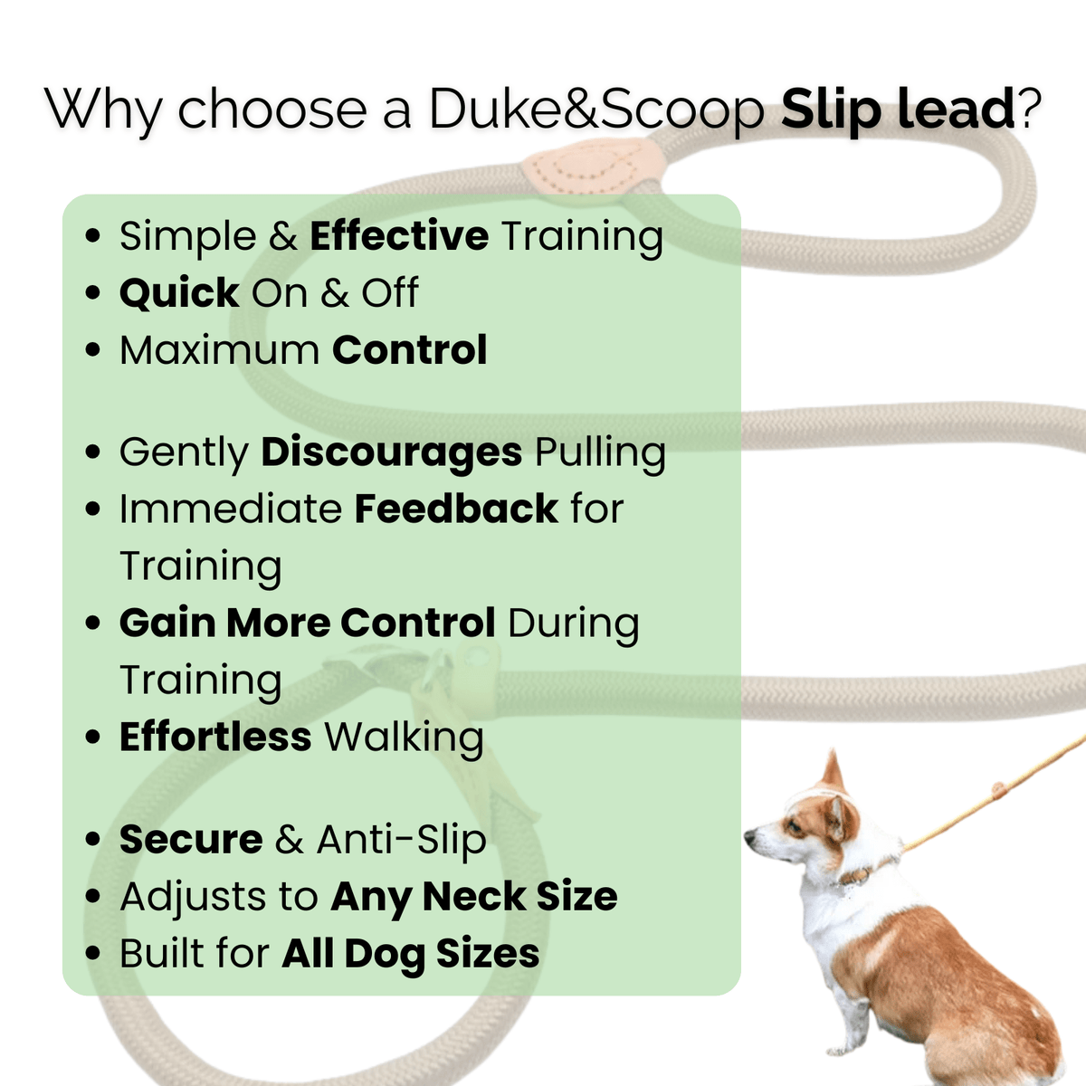 Heavy-Duty Adjustable Slip Lead for Medium & Large Dogs – StrideGlow™