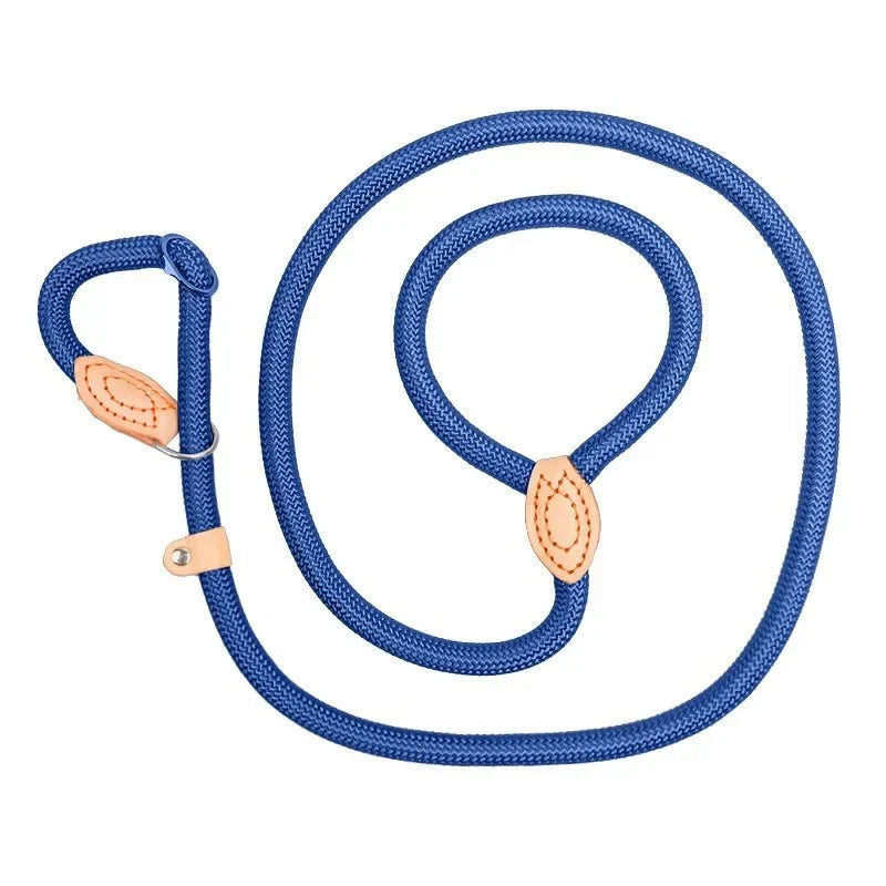 Heavy-Duty Adjustable Slip Lead for Medium & Large Dogs – StrideGlow™