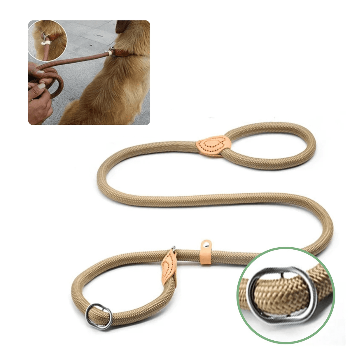 Heavy-Duty Adjustable Slip Lead for Medium & Large Dogs – StrideGlow™