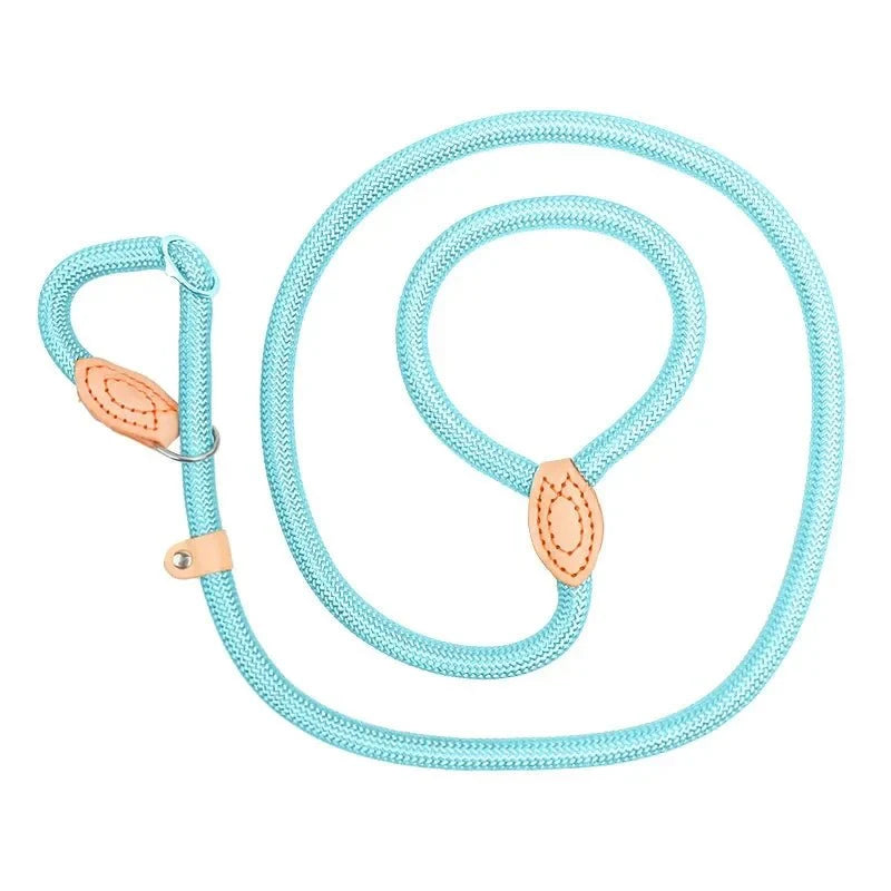 Heavy-Duty Adjustable Slip Lead for Medium & Large Dogs – StrideGlow™