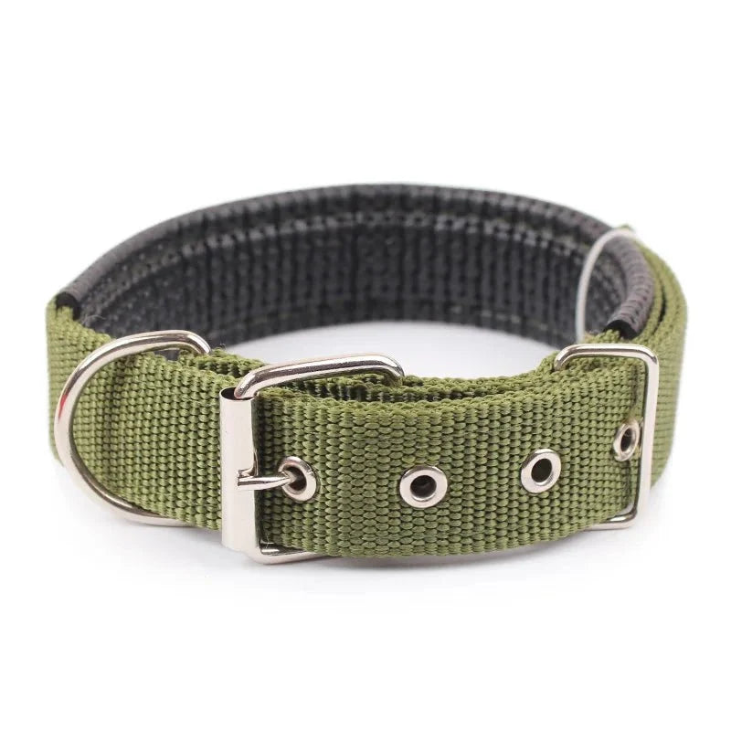 Durable Nylon Dog Collar – StrideActive™