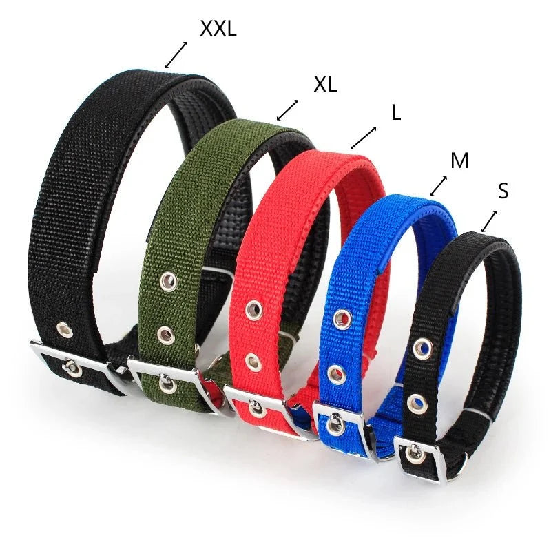 Durable Nylon Dog Collar – StrideActive™