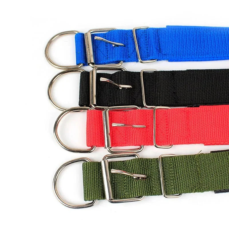 Durable Nylon Dog Collar – StrideActive™