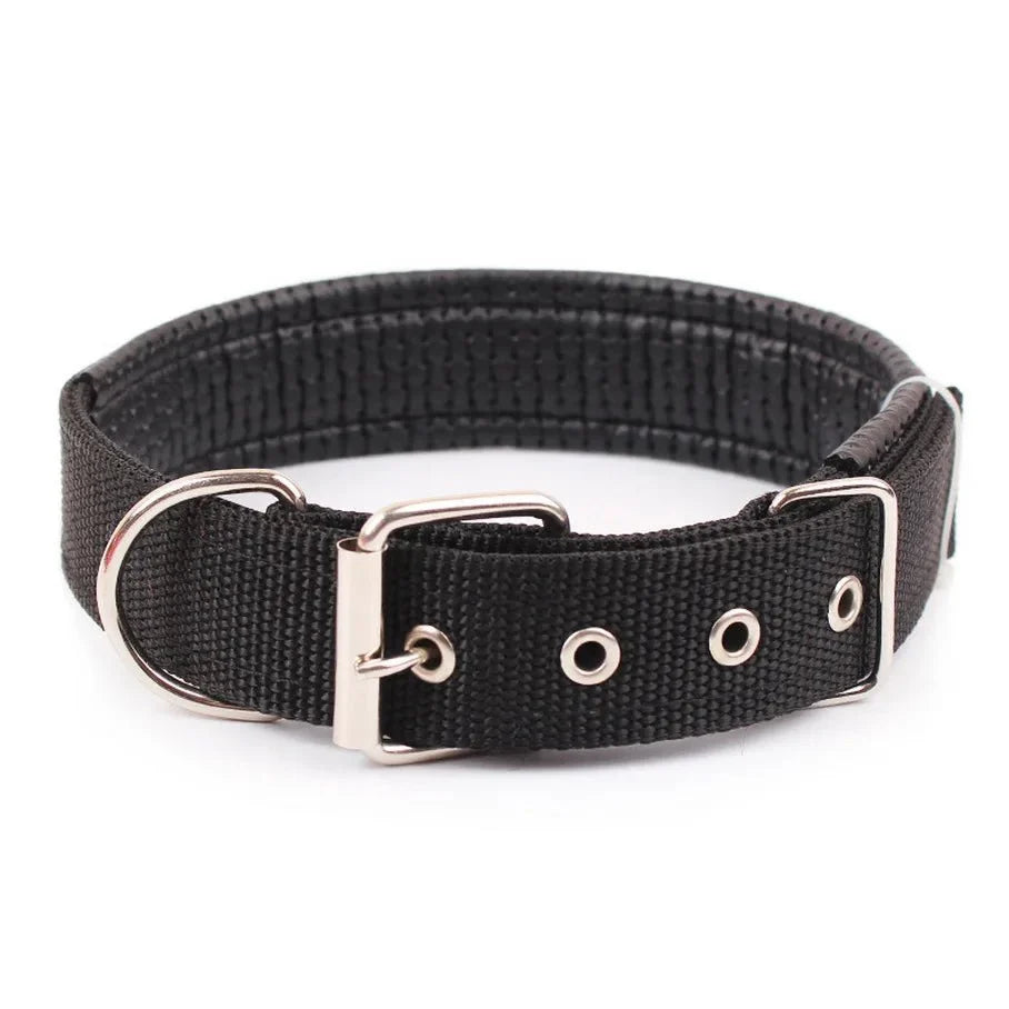 Durable Nylon Dog Collar – StrideActive™