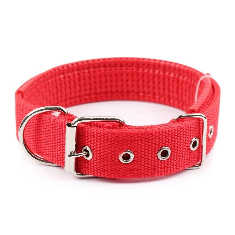 Durable Nylon Dog Collar – StrideActive™