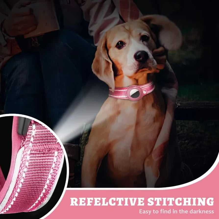 Reflective Dog Collar with AirTag Holder – RouteEase™