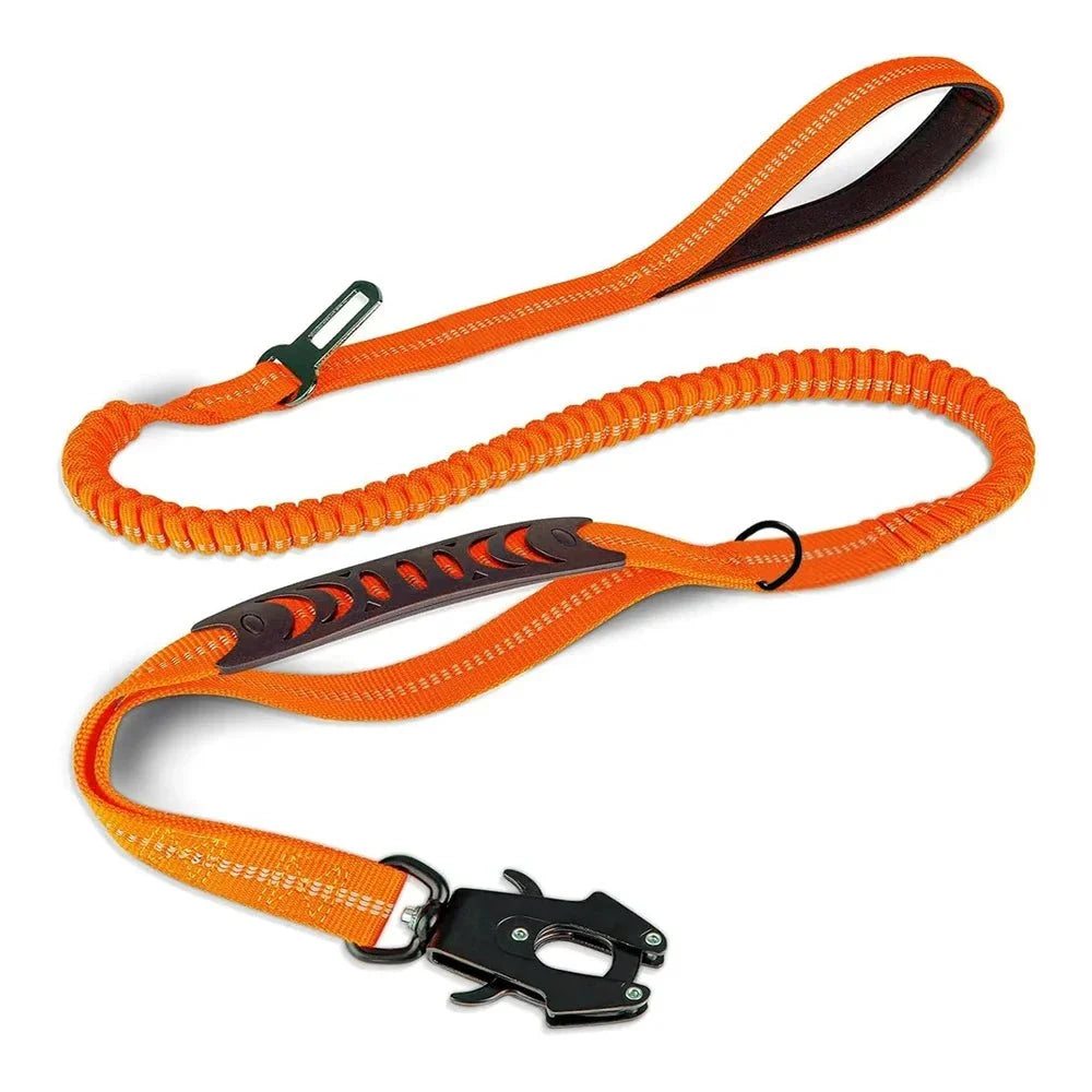 Reflective Bungee Dog Leash with Car Seat Belt Clip – CarPaws™