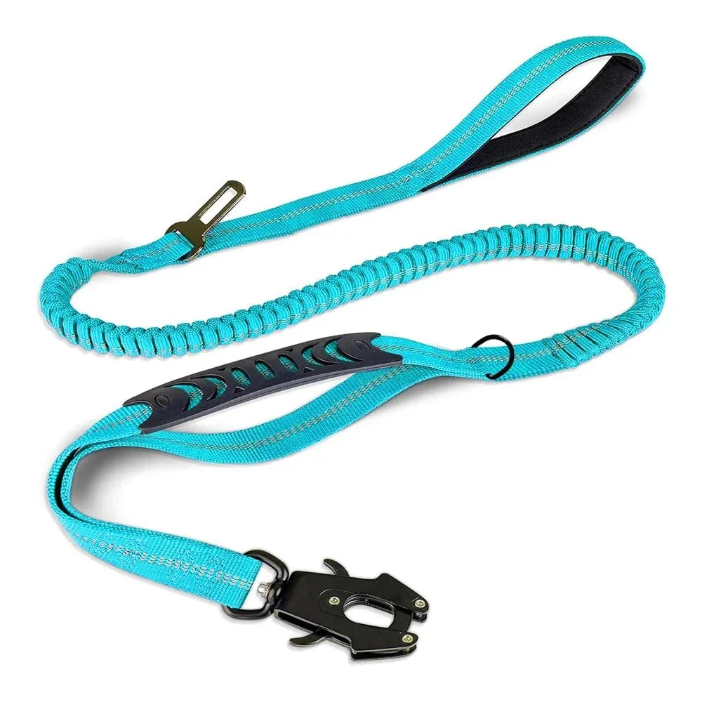 Reflective Bungee Dog Leash with Car Seat Belt Clip – CarPaws™