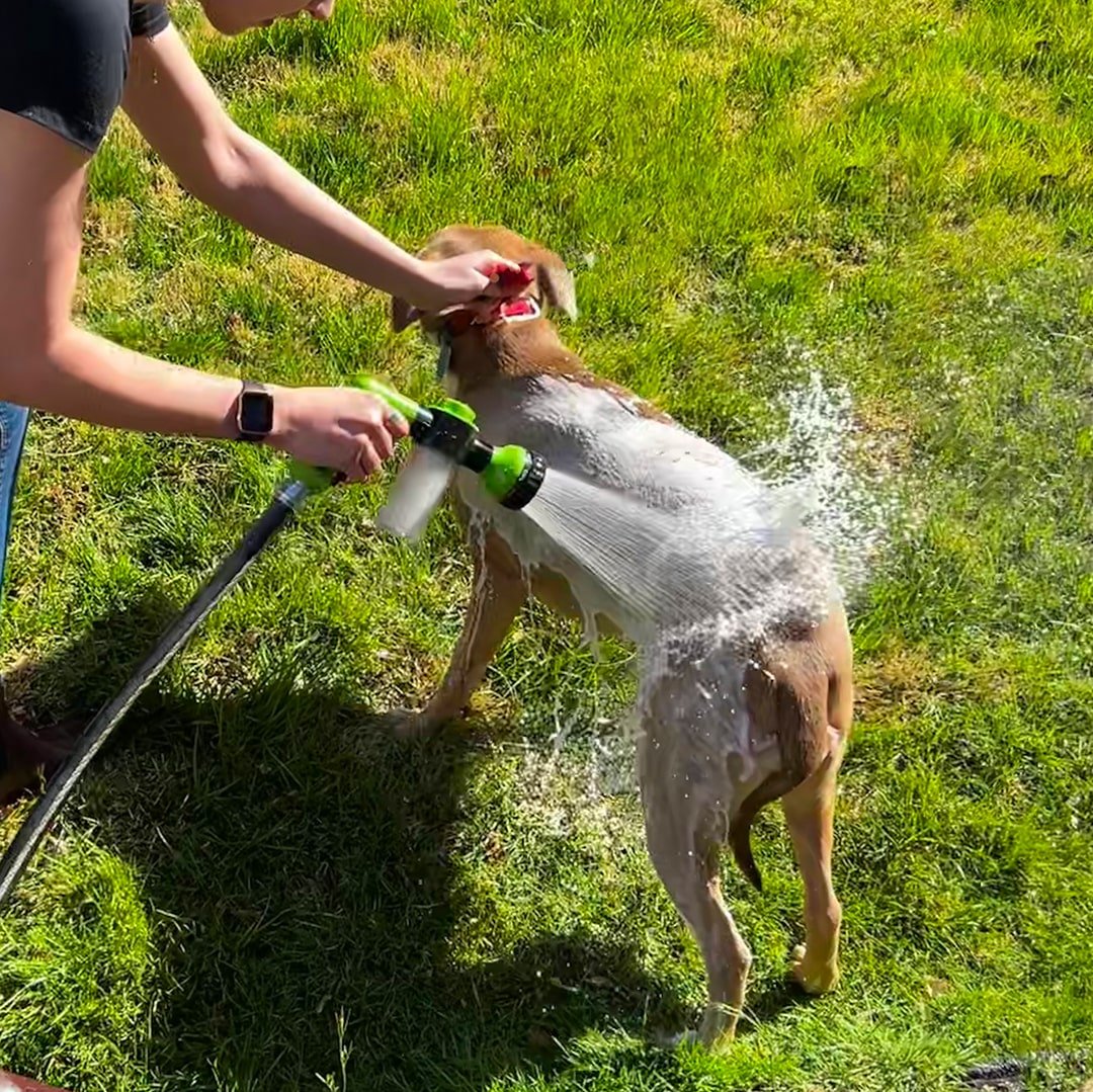 Stress-Free Dog Shower – LifeGlow™