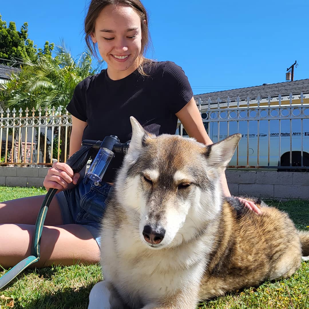 Stress-Free Dog Shower – LifeGlow™