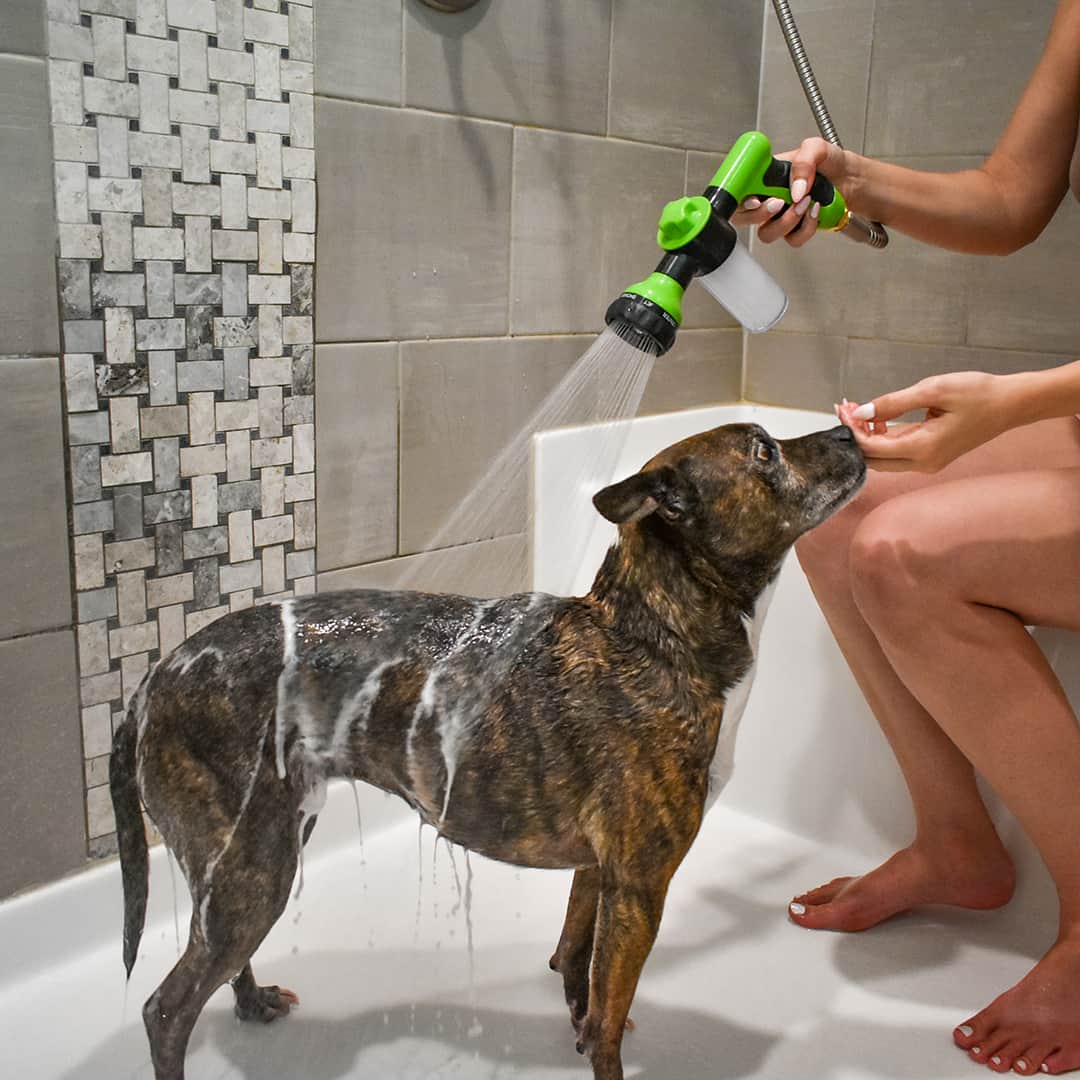 Stress-Free Dog Shower – LifeGlow™
