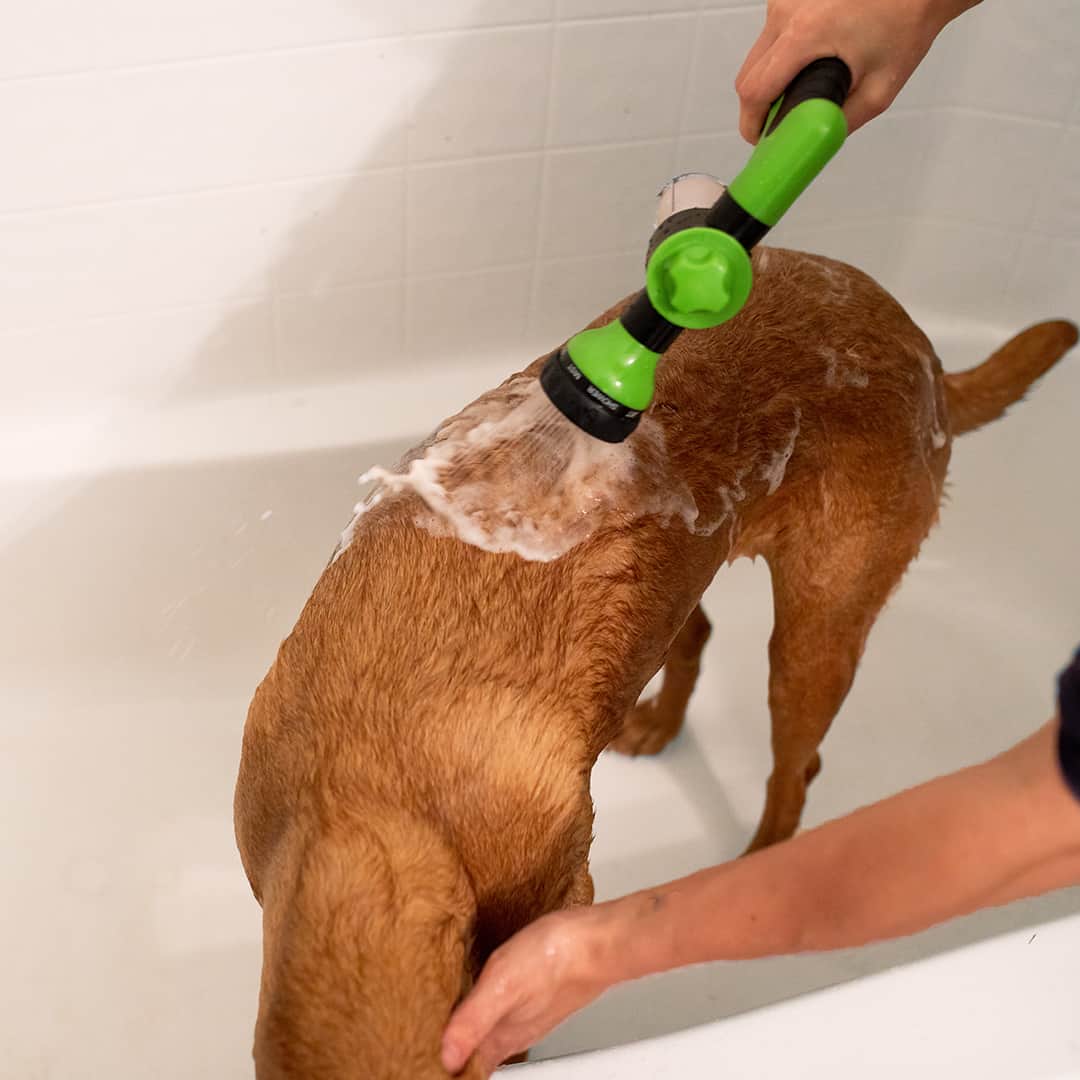 Stress-Free Dog Shower – LifeGlow™
