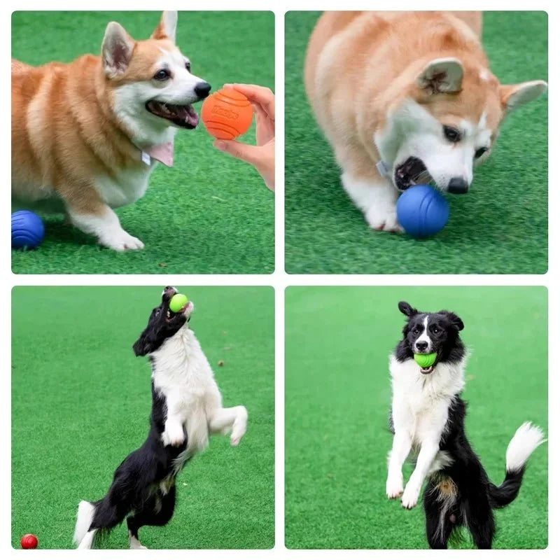 Rubber Dental Dog Ball – FetchSafe™