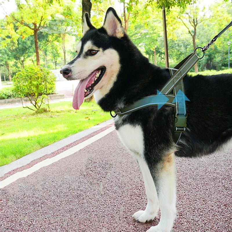 Adjustable Dog Harness – FlexDaily™