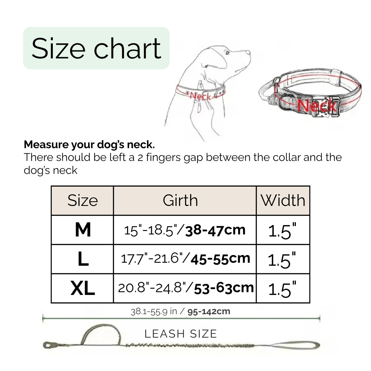 Shock-Absorbing Dog Collar & Leash Set – WalkPlus™