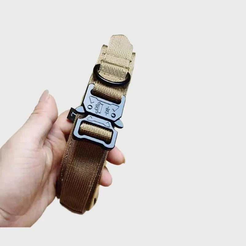 Shock-Absorbing Dog Collar & Leash Set – WalkPlus™