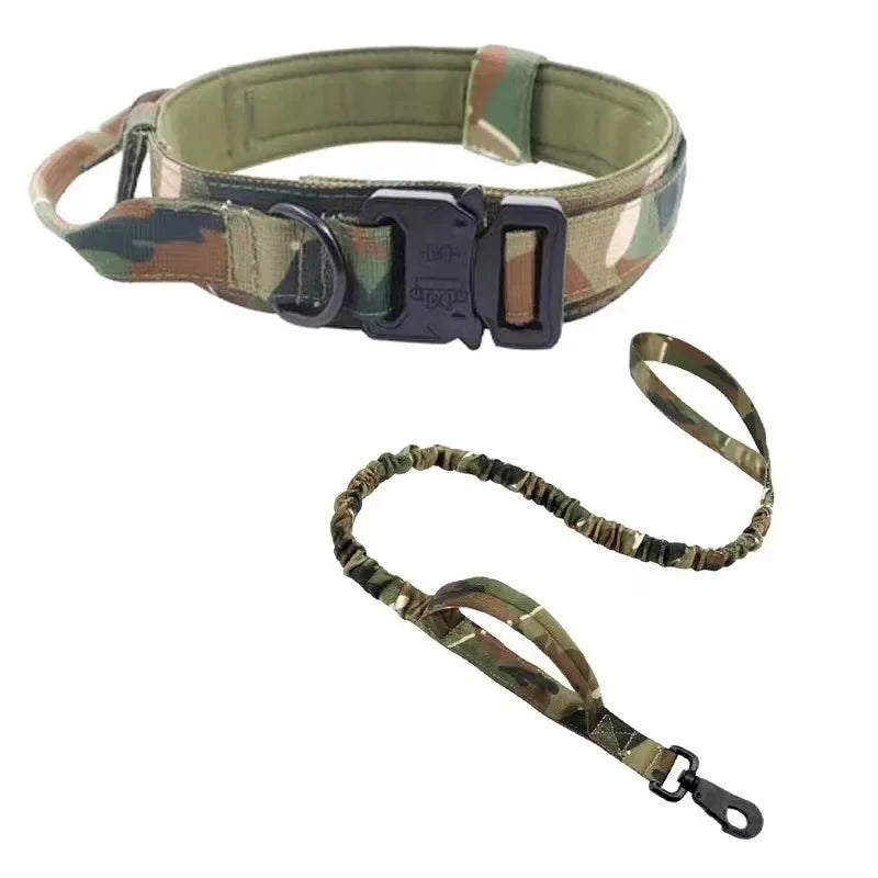 Shock-Absorbing Dog Collar & Leash Set – WalkPlus™