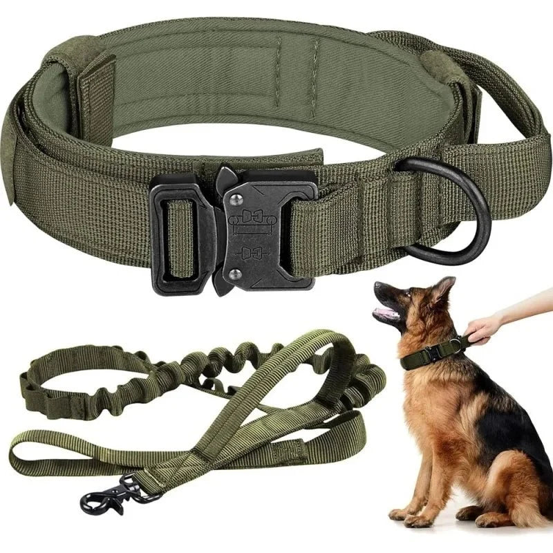 Shock-Absorbing Dog Collar & Leash Set – WalkPlus™