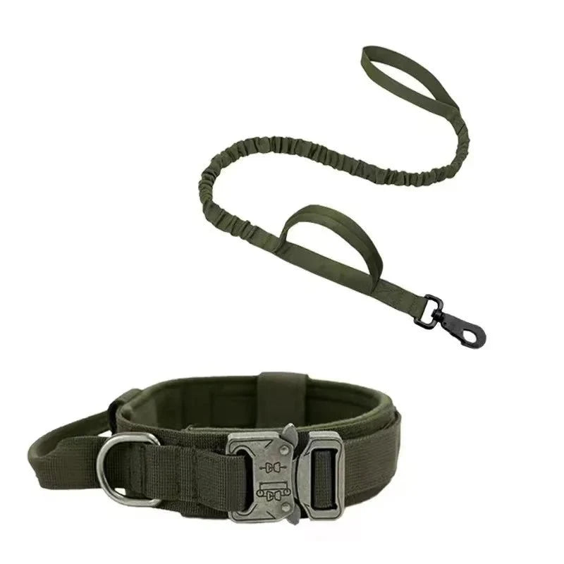 Shock-Absorbing Dog Collar & Leash Set – WalkPlus™
