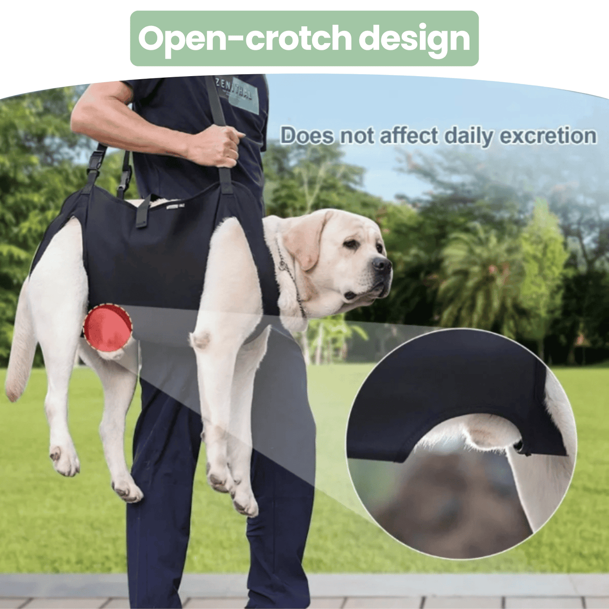 Adjustable Dog Support Harness – TrekComfort™