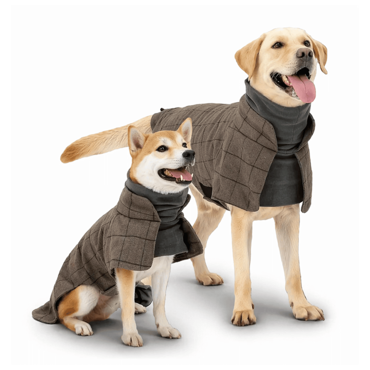 Tailented SnugFlex™ – Warm Dog Coat for Everyday Outdoor Wear