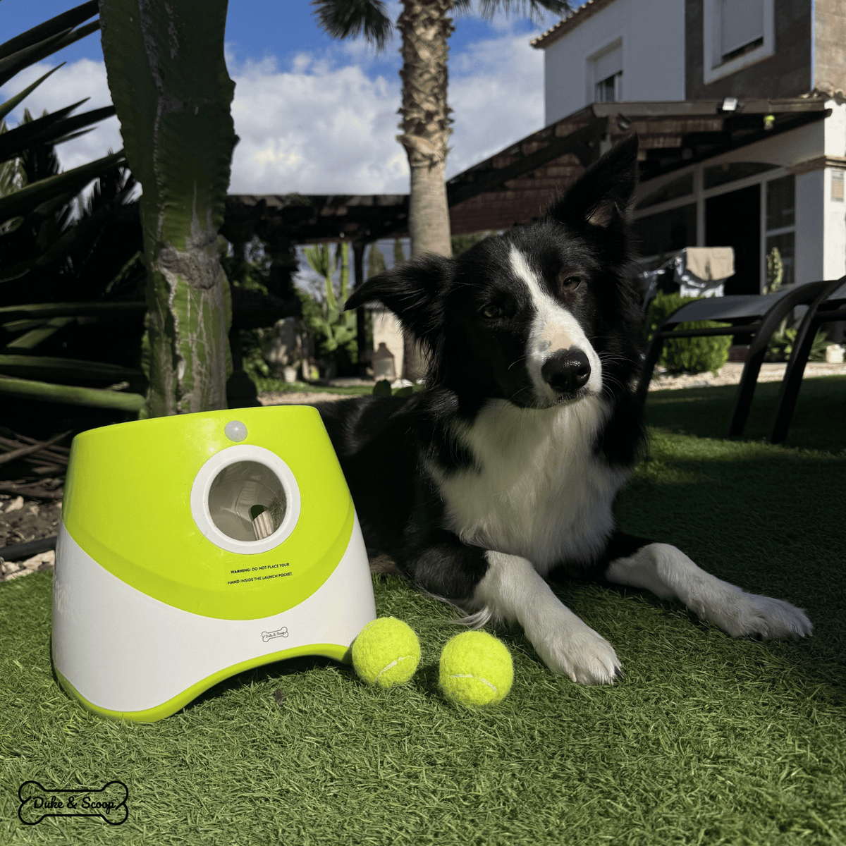 Automatic Dog Ball Launcher – PawTrail™