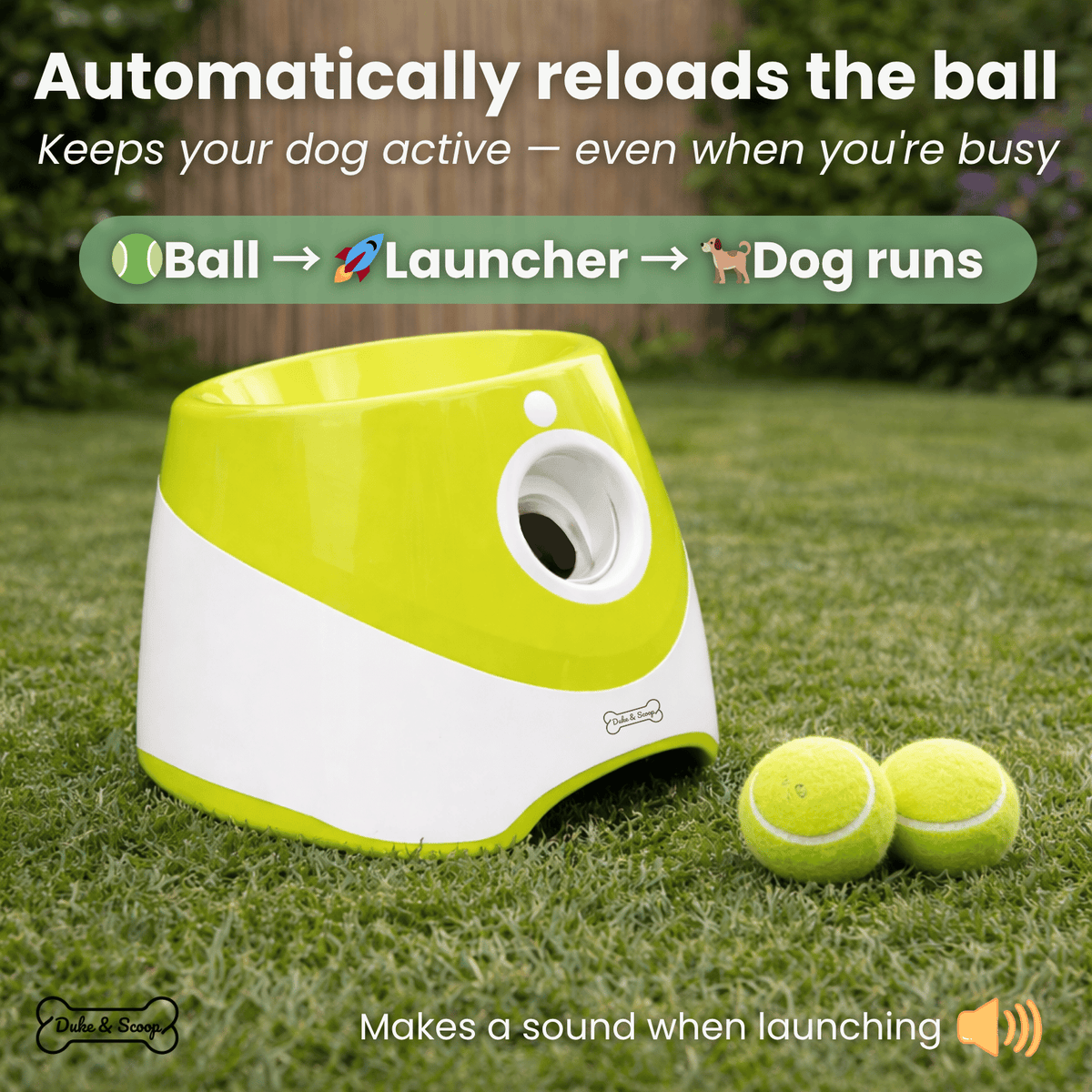 Automatic Dog Ball Launcher – PawTrail™
