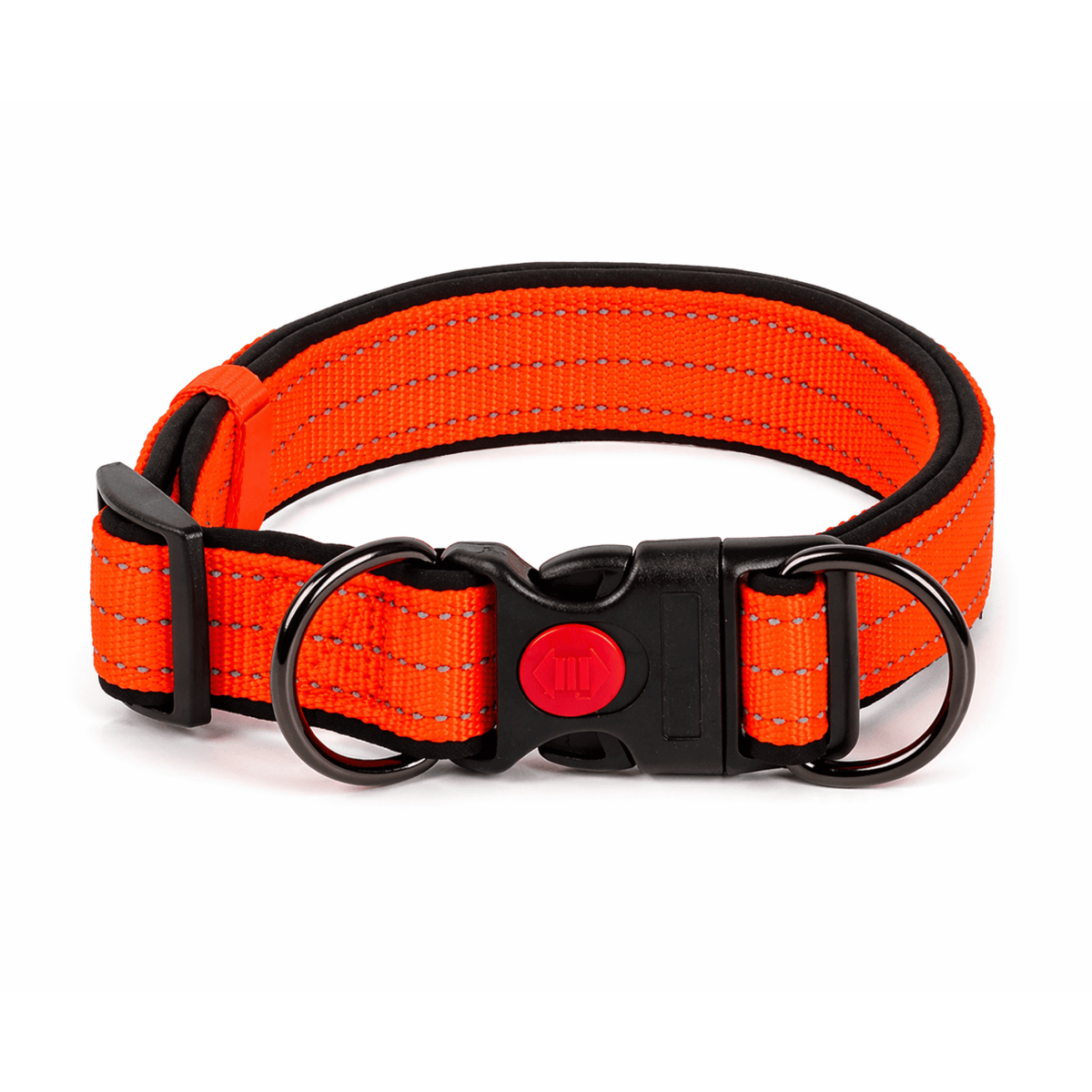 Reflective Dog Collar for Everyday Walks – TrailPeak™