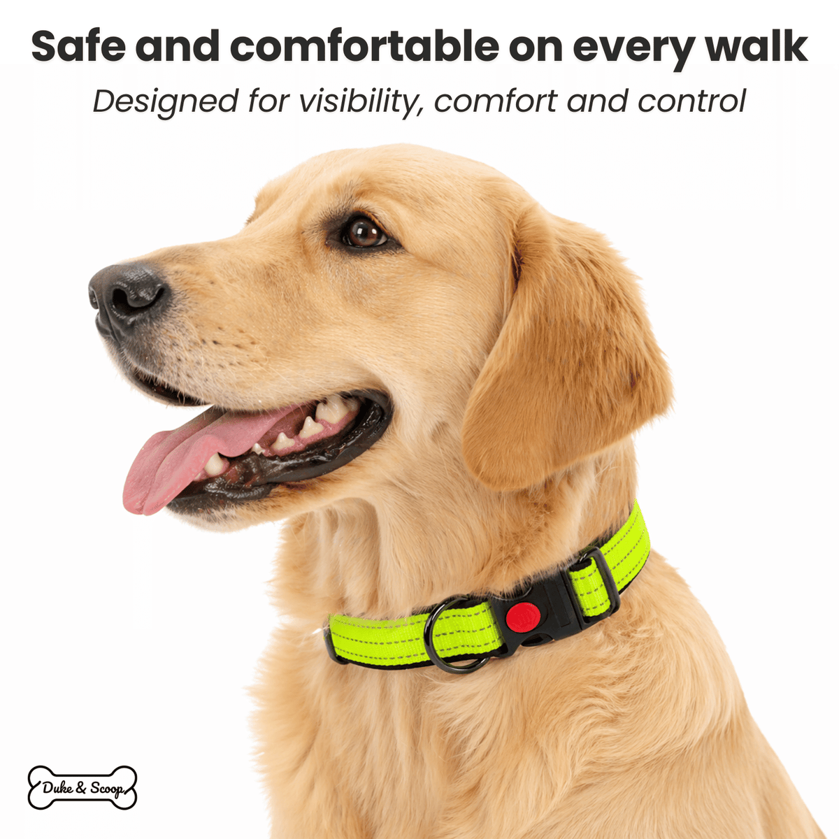 Reflective Dog Collar for Everyday Walks – TrailPeak™