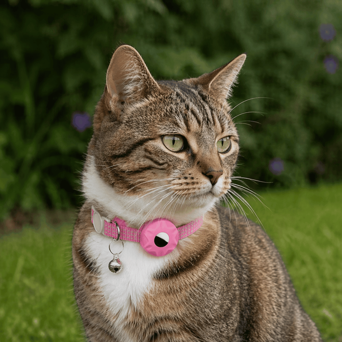Android Pet Tracker Collar – WatchSphere™