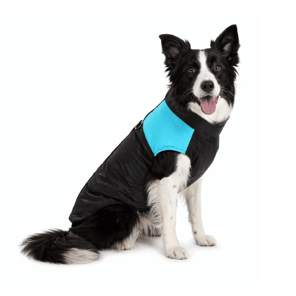 Waterproof Warm Dog Winter Coat – WarmFit™