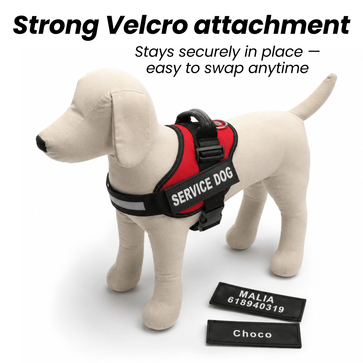 Custom Hook-and-Loop Dog Harness Name Patch – LeadEssentials™