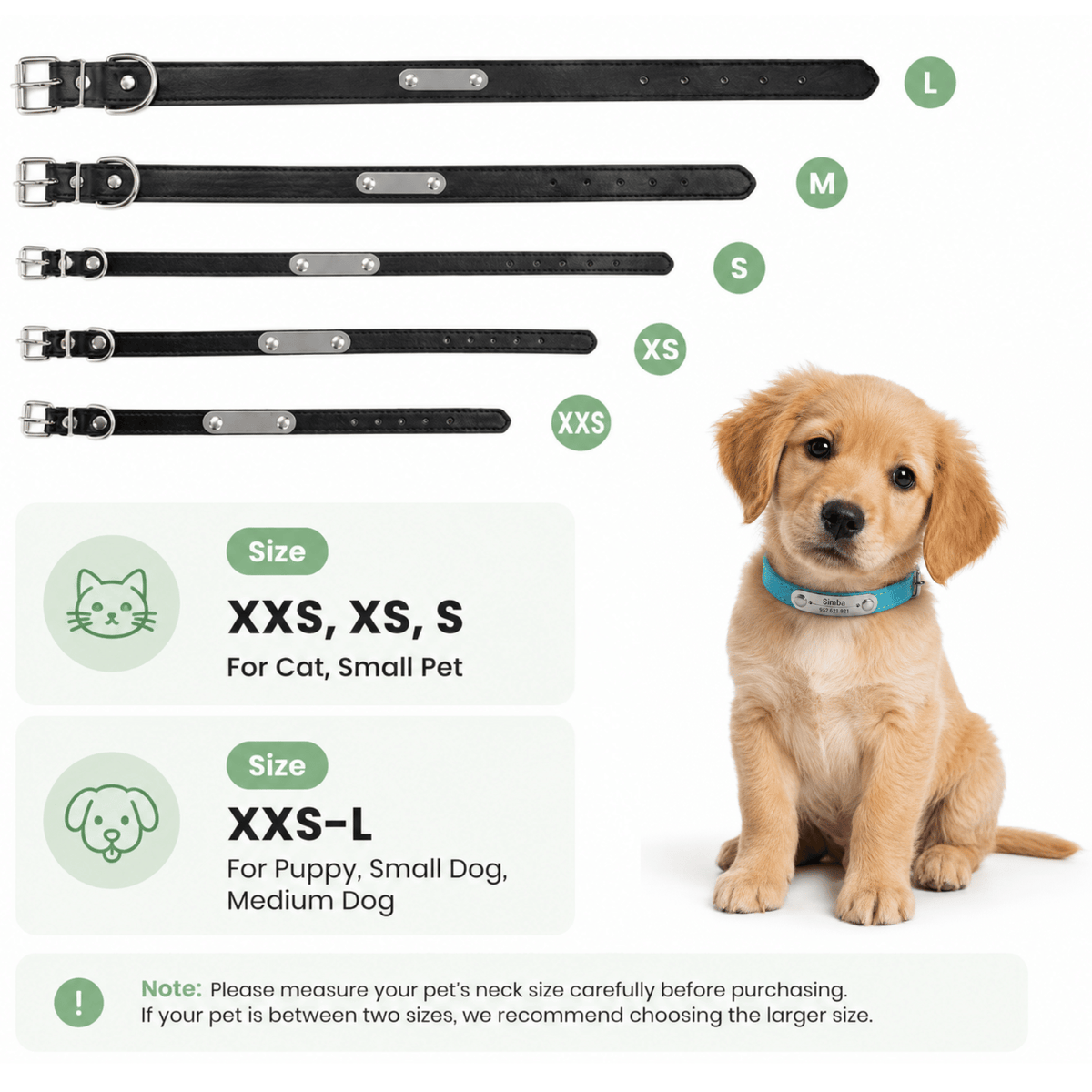 Personalised Stainless Steel Nameplate Pet Collar – ControlAdventure™