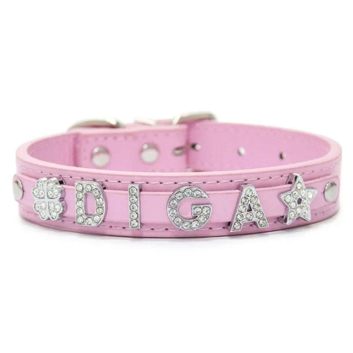 Personalized Dog & Cat Collar – LeadReady™