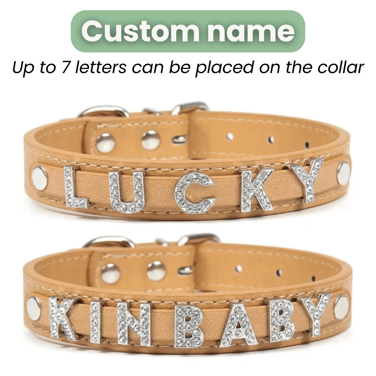 Personalized Dog & Cat Collar – LeadReady™