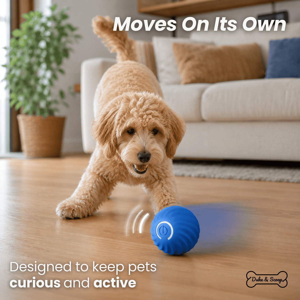 Interactive Smart Pet Ball for Dogs & Cats – FetchPure™