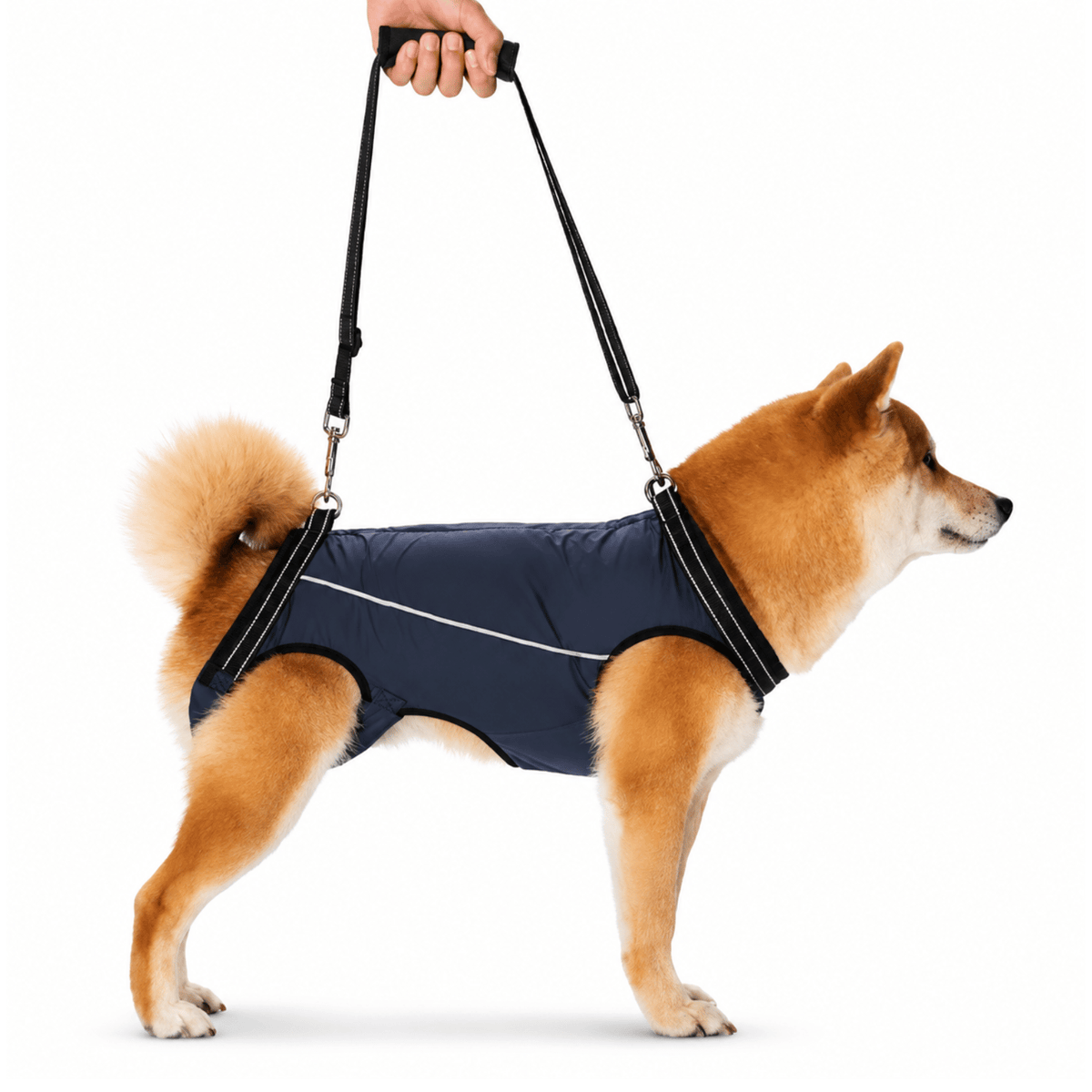 Dog Shoulder Support Sling – TransitTrail™