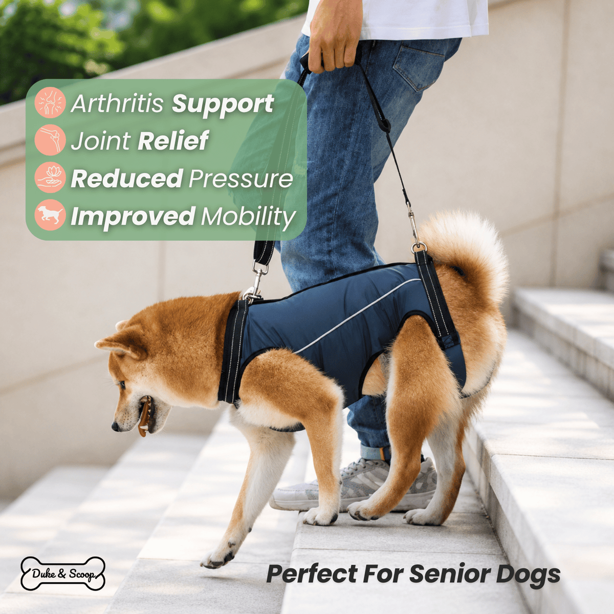 Dog Shoulder Support Sling – TransitTrail™