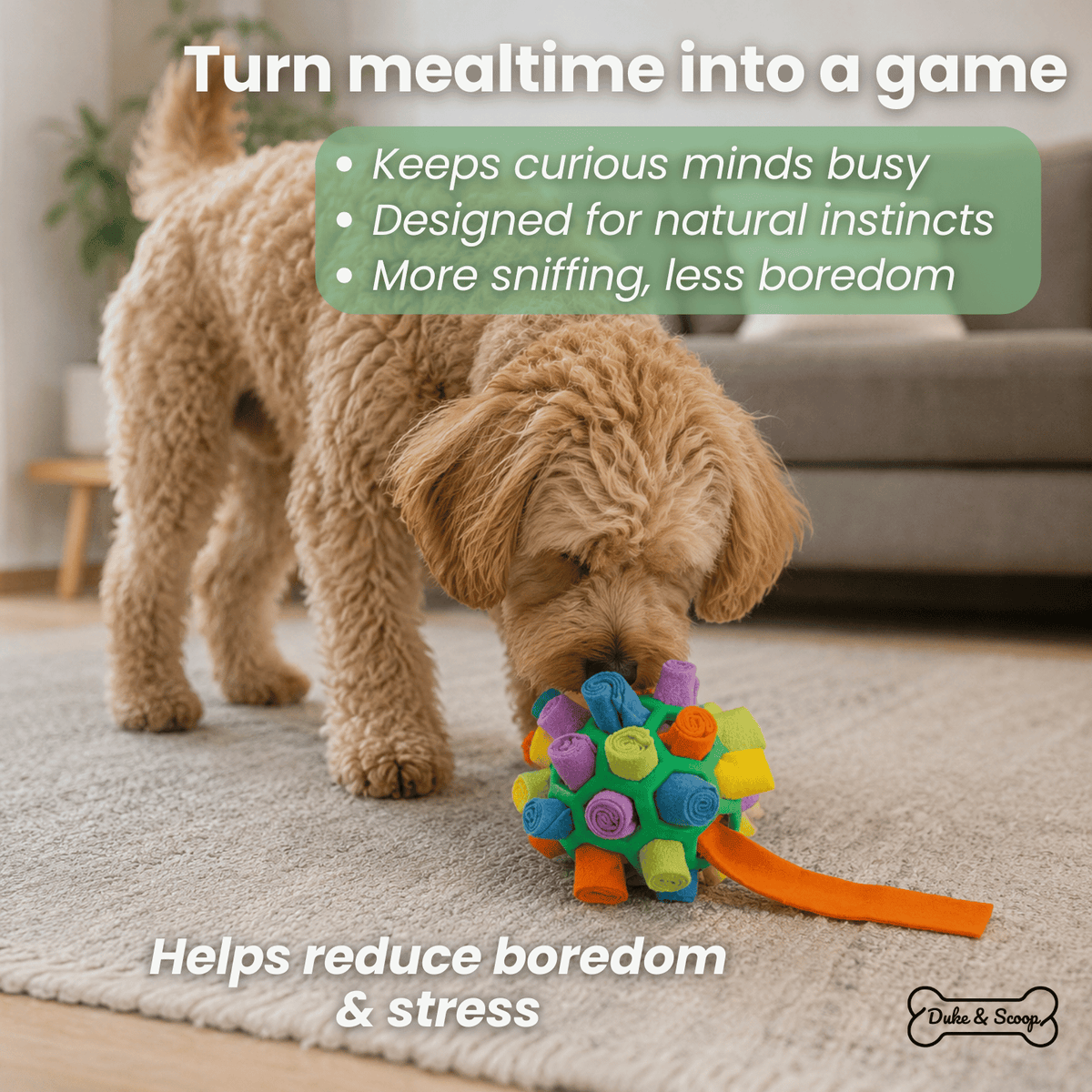 Interactive Snuffle Ball for Dogs – DineSafe™