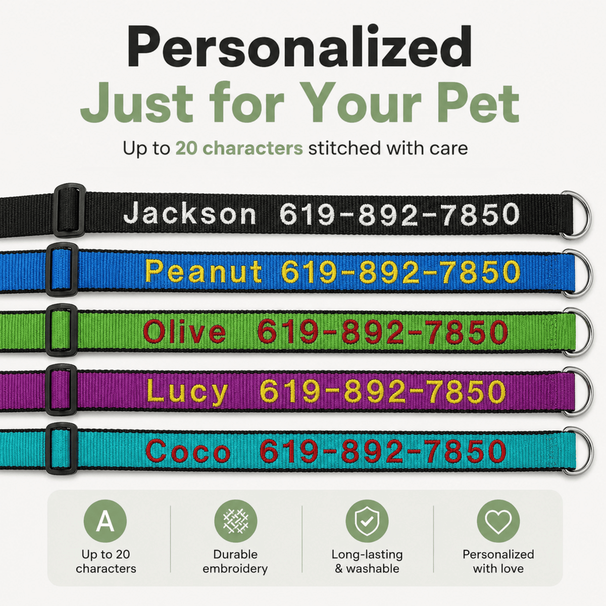 Tailented WalkAdventure™ – Nylon Adjustable Dog Collar for Everyday Wear & Walking