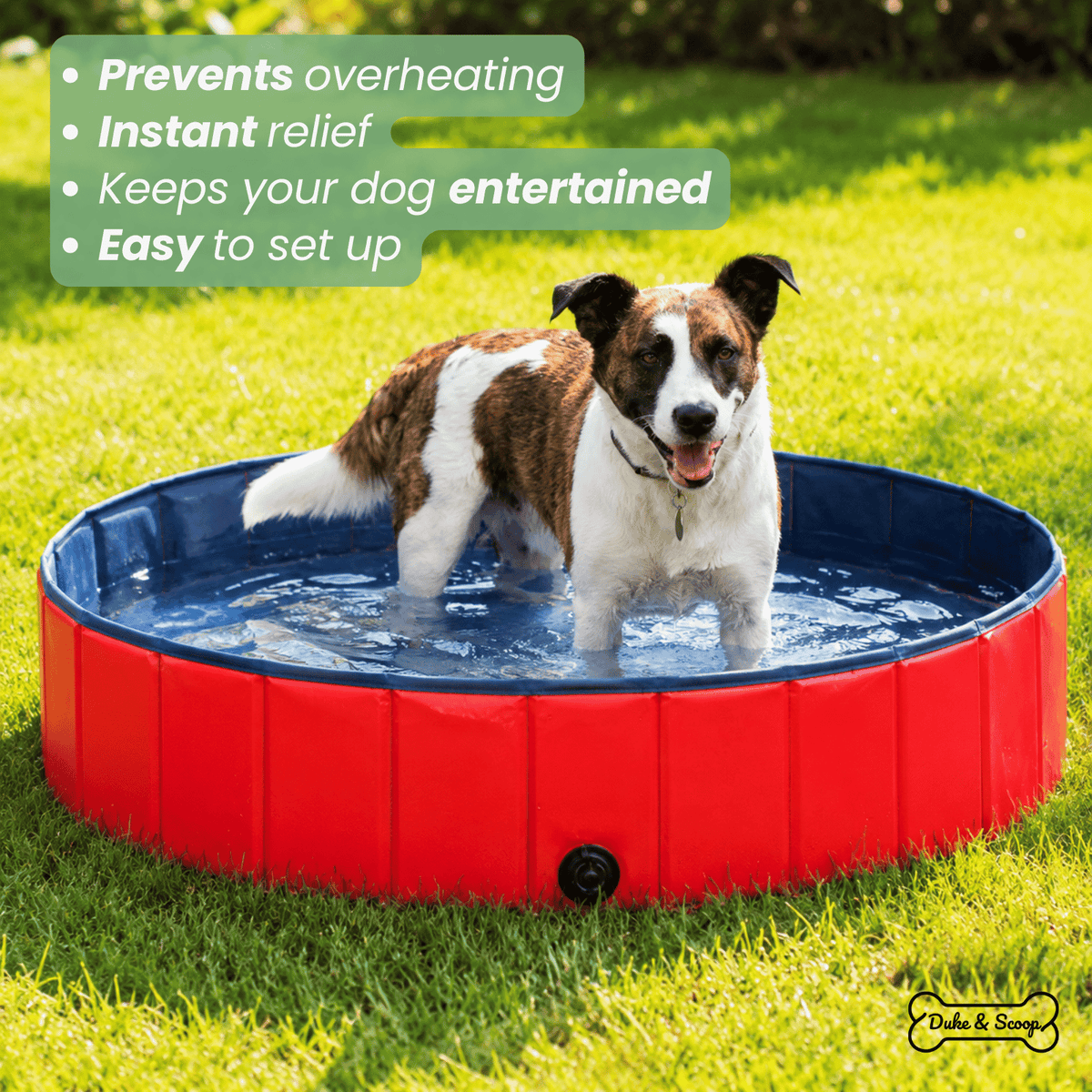 Foldable Pet Pool for Dogs & Cats – PetPure™
