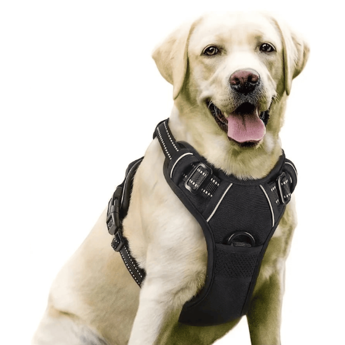 No-Pull Front-Clip Dog Harness – SecureCore™