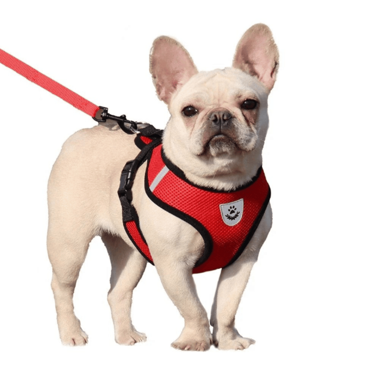 Adjustable Dog & Cat Harness for Small Pets – WalkPro™