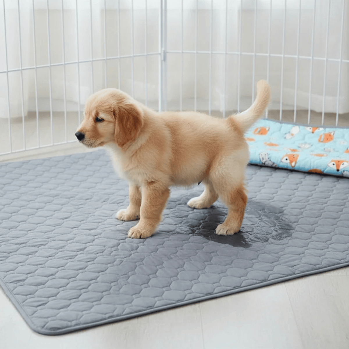 Washable Waterproof Dog Training & Pee Pad – CleanBalance™