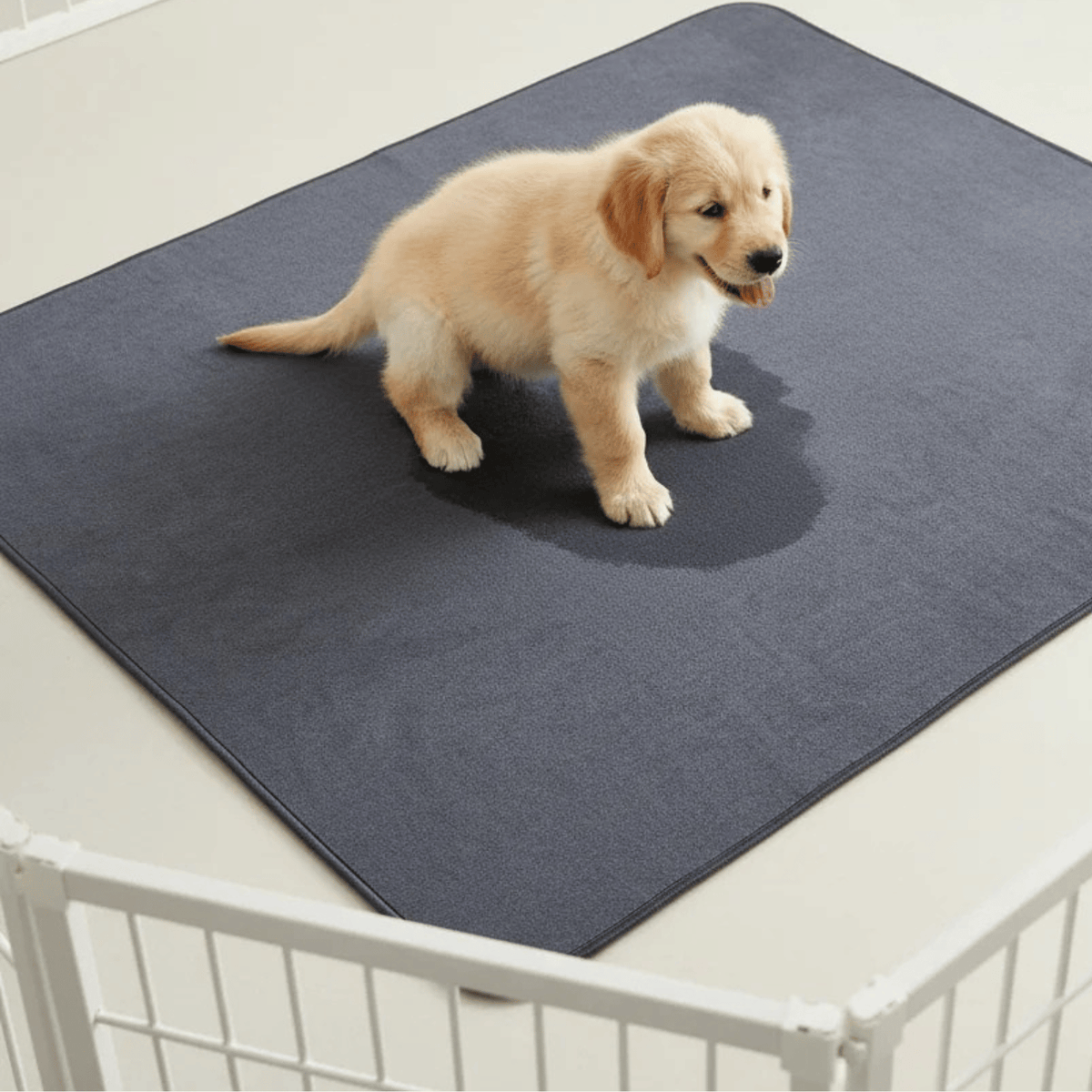 Washable Pet Comfort Mat for Dogs – CozyLiving™