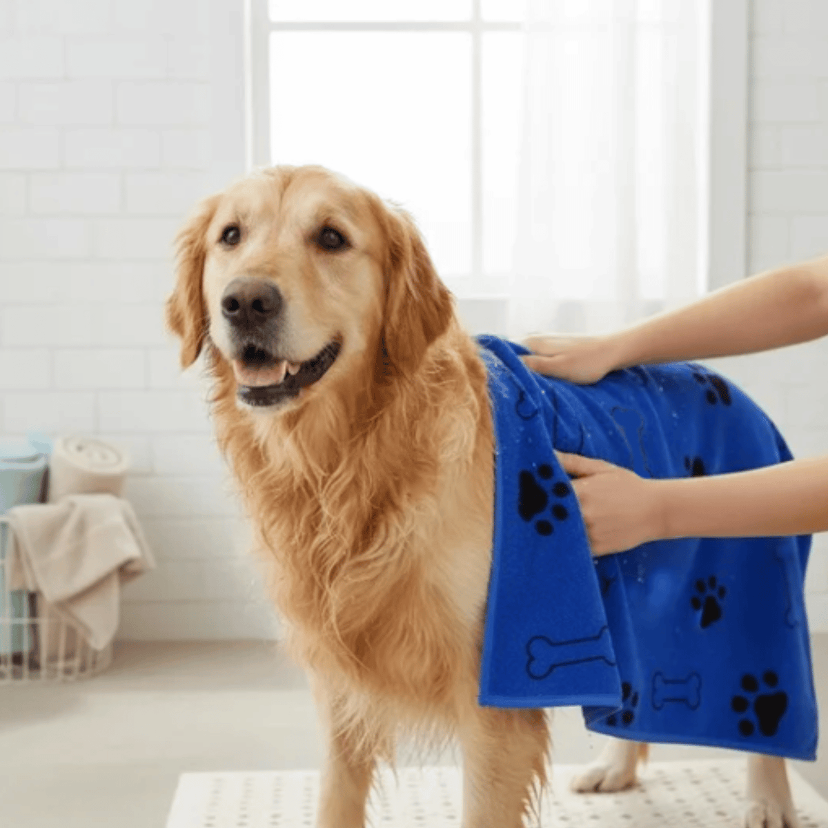 Microfiber Dog Drying Towels – 2 Pack – ComfortLuxe™