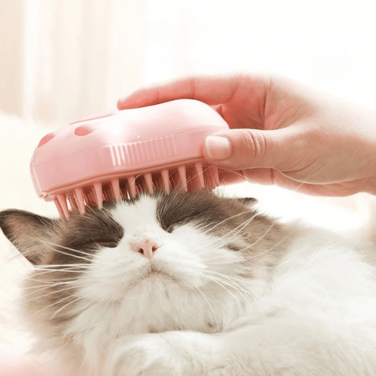 3-in-1 Steam Pet Grooming Brush – CareAdventure™