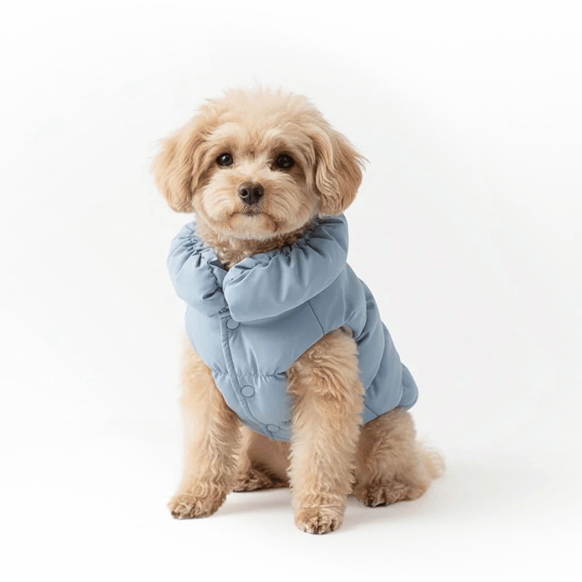 Warm Winter Dog & Cat Coat – WarmTrail™
