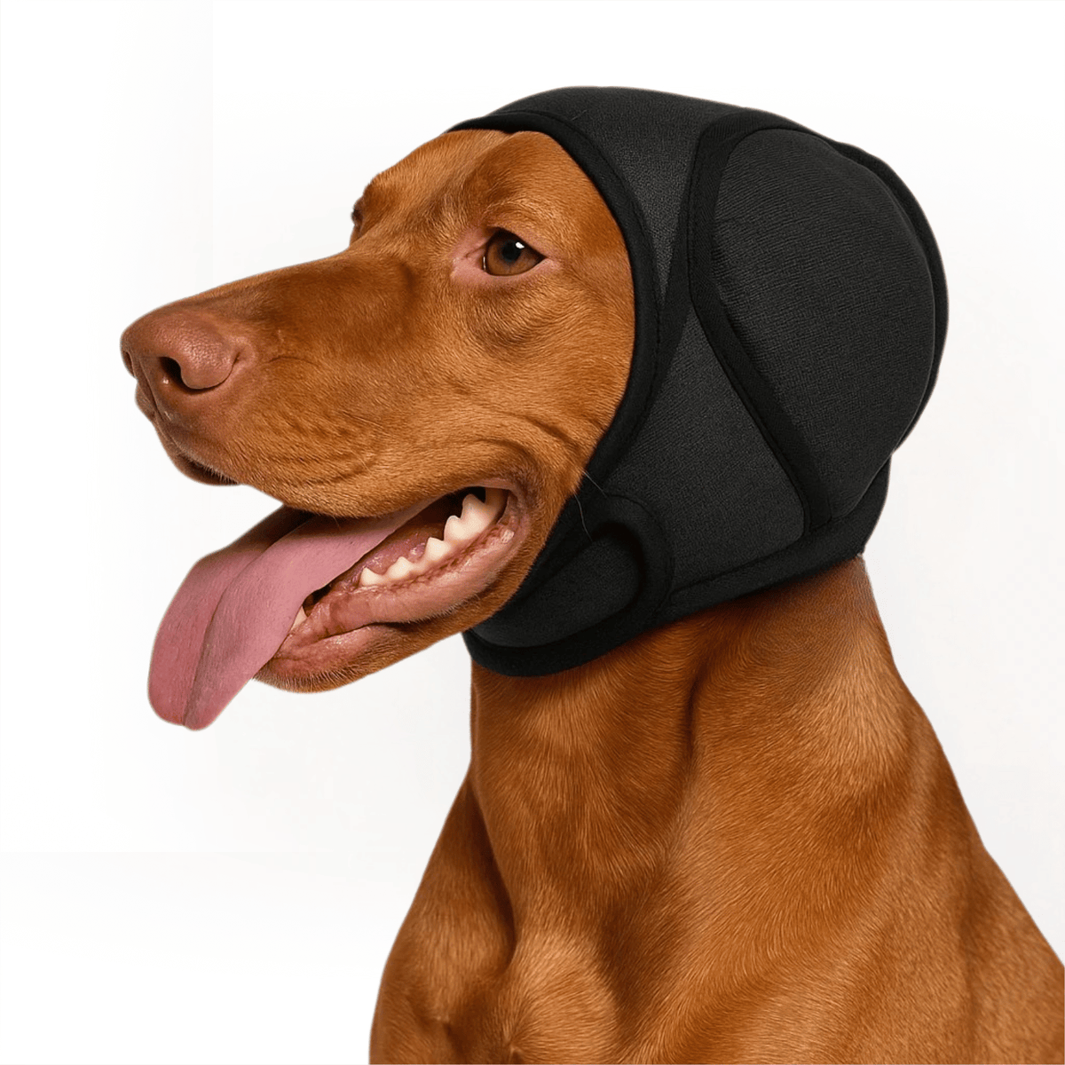 Waterproof Dog Ear Protectors – EverydayStyle™