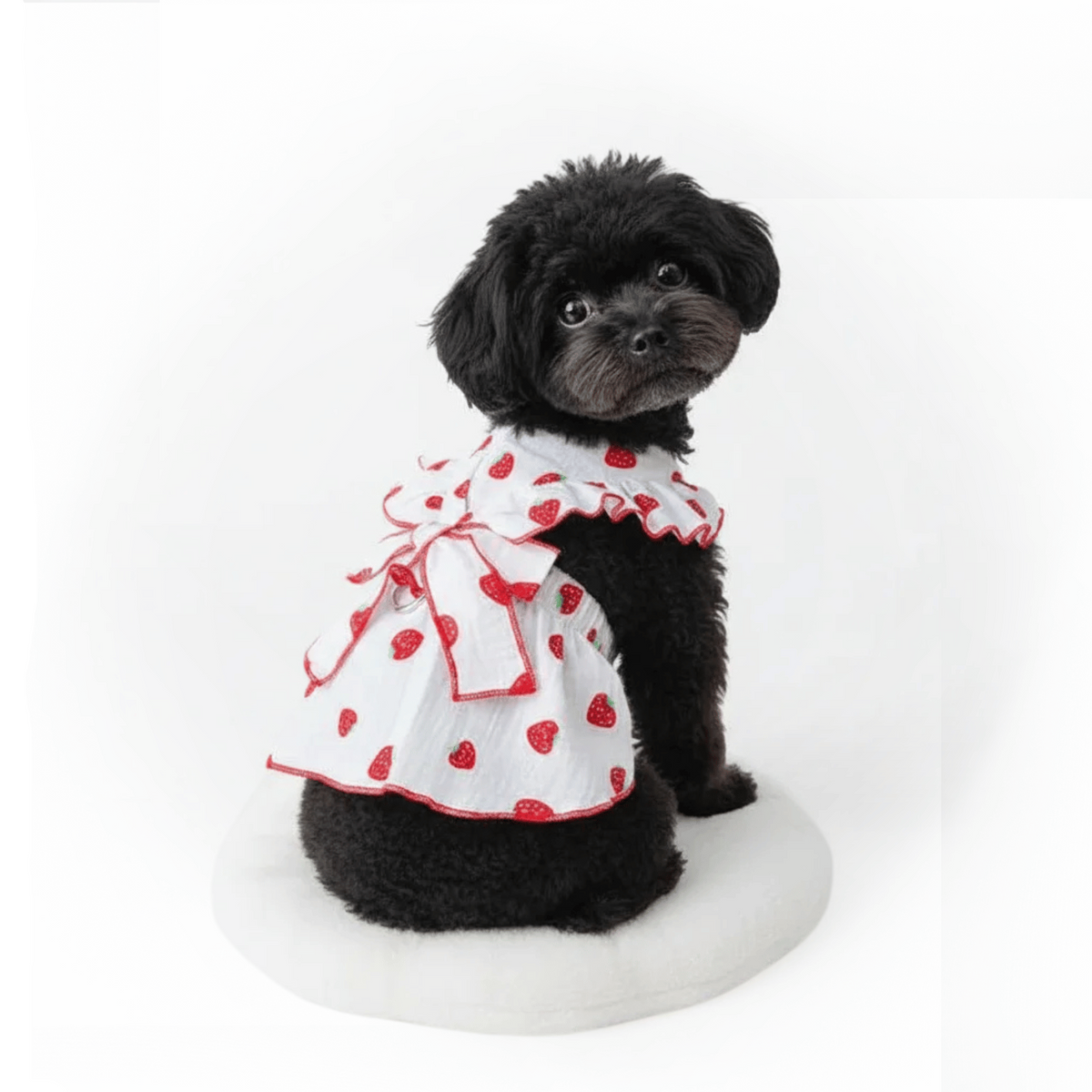 Strawberry Print Summer Dress for Dogs & Cats – EverydayTrail™